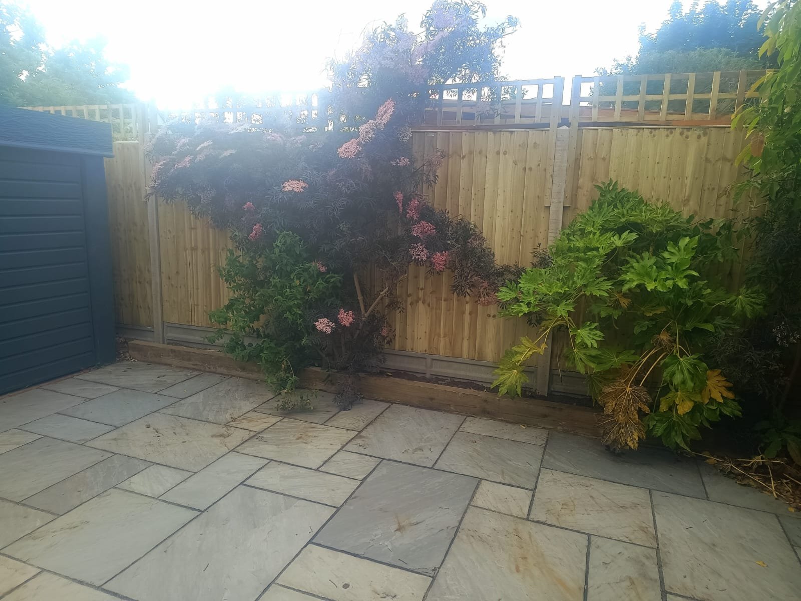 High quality wooden fence with trellis 